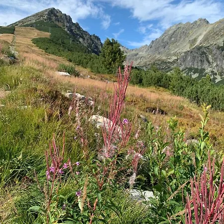 Apartman No.1 House Oliver